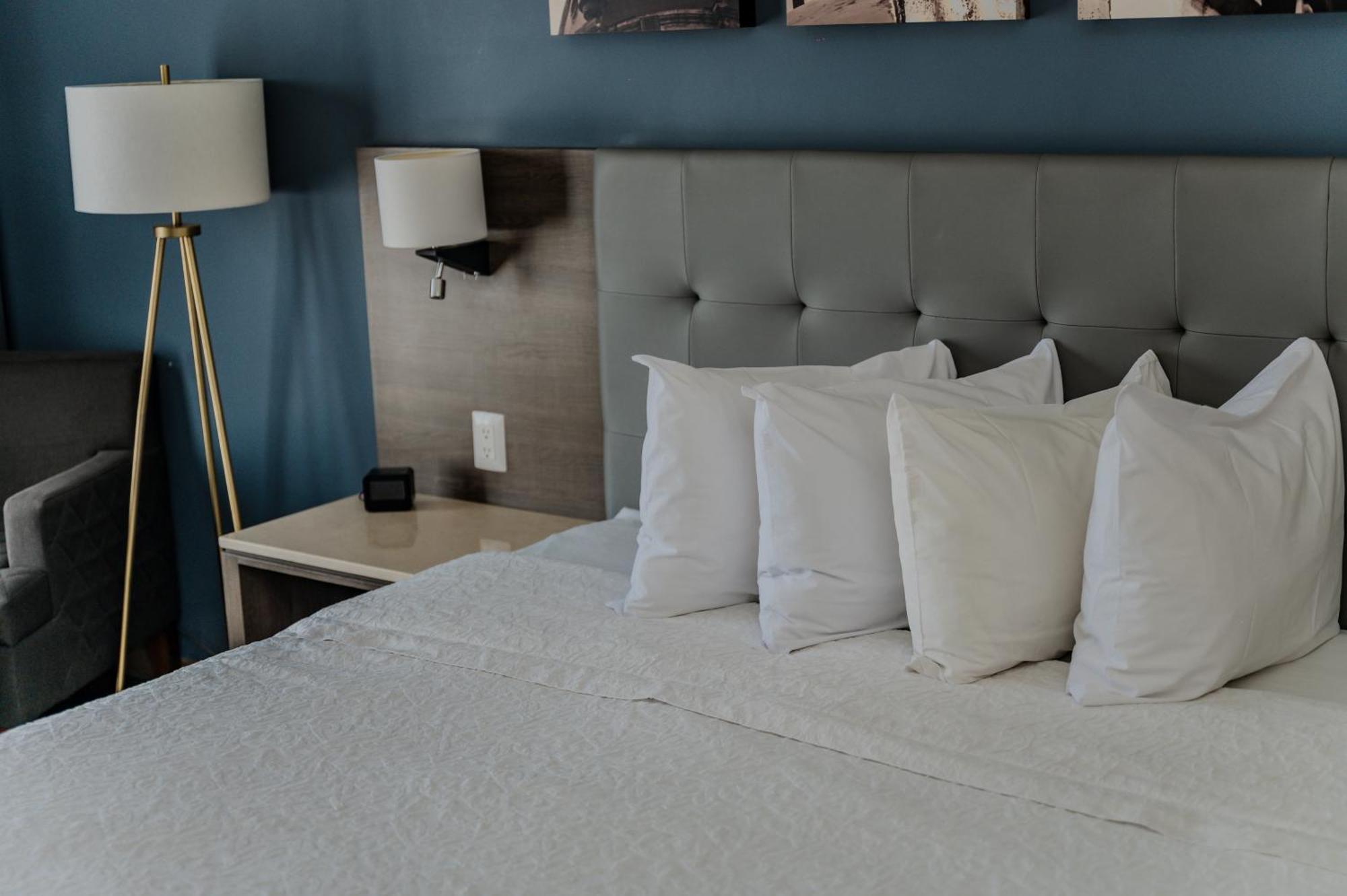 Hampton Inn By Hilton Celaya Celaya  Room photo